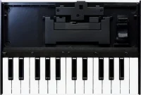 Клавіатура Roland K-25m