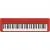 Синтезатор CASIO CT-S1RD