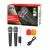 Радиомикрофоны DS02S KARAOKE SET тільки при покупці з активною акустикою