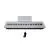 Цифровое пианино Toneberg TK-40 WH