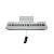 Цифровое пианино Toneberg TK-20 WH