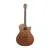 Електроакустична гітара TANGLEWOOD TWX6 CE BW
