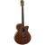 Електроакустична гітара TANGLEWOOD TRU4 CE AW