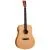 Электроакустическая гитара TANGLEWOOD TR5 E