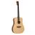 Акустична гітара Tanglewood TM5