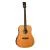 Электроакустическая гитара TANGLEWOOD TRS5 SE