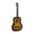 Классическа гитара Классическая гитара Toneberg EC3900-SB