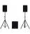 Активный акустический комплект SOUNDLIGHT Alex-Audio TS-1015
