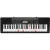 Синтезатор Casio LK-265