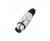 Разъем XLR Канон XLR Bespeco XLR3FX