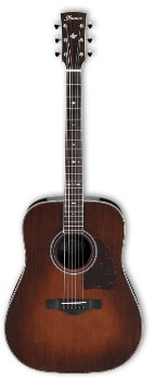 Ibanez AVD10