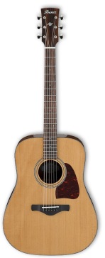 Ibanez AVD9