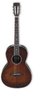 Ibanez AVN10