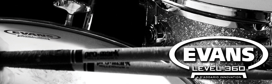 D'Addario Evans D'Addario Evans