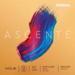 Струны для скрипки D'ADDARIO ASCENTÉ VIOLIN SINGLE D STRING 4/4 Scale Medium Tension