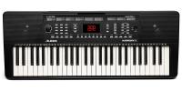 Синтезатор для учебы Alesis HARMONY54