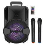 Акустическая система с микрофонами BIG100BLUE SKY USB/MP3/FM/BT/TWS + 2pcs VHF mic