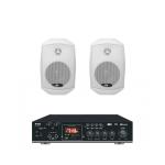 Инсталляционная акустика Комплект звуку DV audio MA402MS4W для приміщення до 40м.