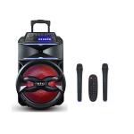 Караоке для дома BIG310BAT USB/MP3/FM/BT/TWS + 2pcs VHF mic