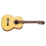 Классическая гитара WALDEN N550E
