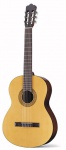 Классическая гитара WALDEN N350E