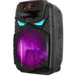 BIG12ALIEN usb/mp3/fm/bt + Шнуровий мікрофон
