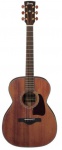 Акустическая гитара IBANEZ AC2040 OPN