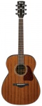 Акустическая гитара IBANEZ AC240 OPN