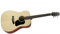 Акустическая гитара WALDEN HAWTHORNE HD220/B