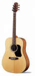 Акустическая гитара WALDEN D350G