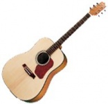 Акустическая гитара Walden D550G