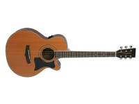 Электроакустическая гитара Tanglewood TW145 SC