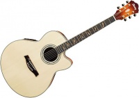Электроакустическая гитара IBANEZ AEL40SE RLV