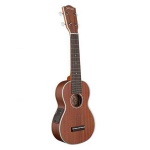 STAGG US80-SE
