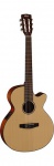 Классическая гитара CORT CEC3 NS