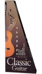 Классическая гитара Aria CGP 001