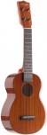 STAGG US100