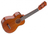 STAGG US120