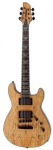 Электрогитара FERNANDES DRAGONFLY SPALTED N