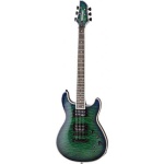 Электрогитара FERNANDES Dragonfly Elite TGR