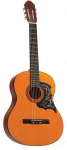 Акустическая гитара Maxtone MAXTONE WGC360