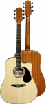 Акустическая гитара HORA W-12204 ctw BROWN