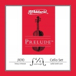 D`ADDARIO J1010 4/4H