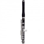 Флейта Roy Benson PICCOLO PC-602