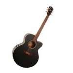 Акустическая гитара Washburn J52SW-BK