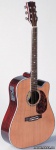 Электроакустическая гитара MAXTONE WGC1001