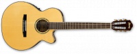Электроакустическая гитара IBANEZ AEG10NE NT