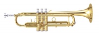 Труба MAXTONE TTC60L2 (TTC234L)