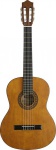 STAGG C442