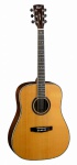 Акустическая гитара CORT Earth700 NAT
